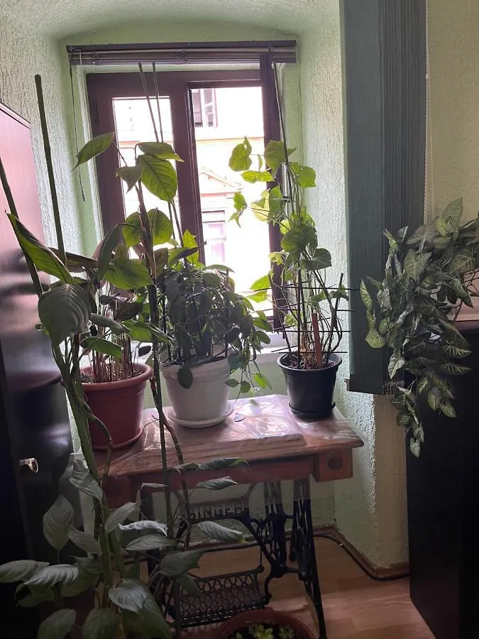 Apartman Lora Apartment Rijeka 0*,